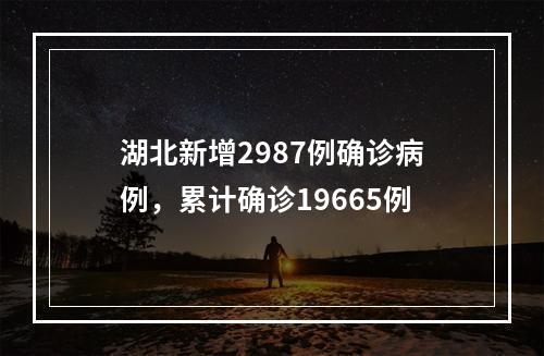 湖北新增2987例确诊病例，累计确诊19665例