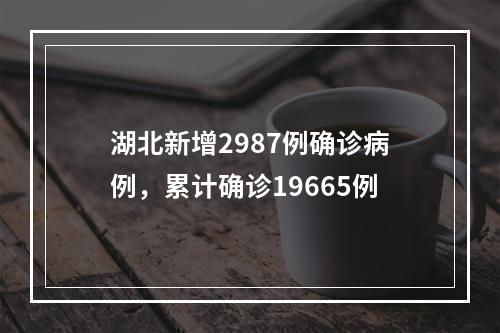 湖北新增2987例确诊病例，累计确诊19665例
