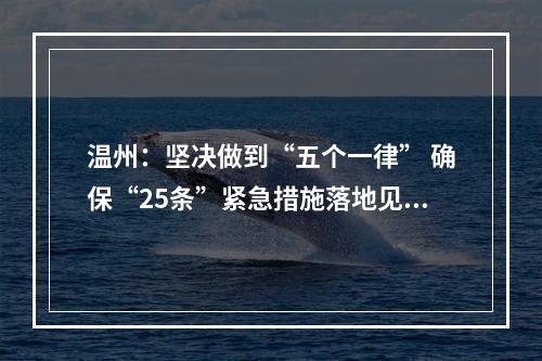 温州：坚决做到“五个一律” 确保“25条”紧急措施落地见效