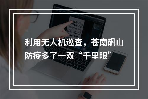 利用无人机巡查，苍南矾山防疫多了一双“千里眼”