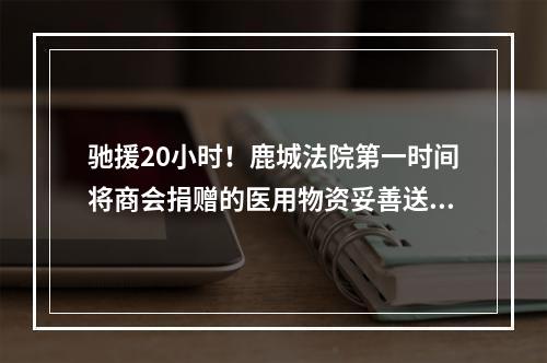 驰援20小时！鹿城法院第一时间将商会捐赠的医用物资妥善送抵温州