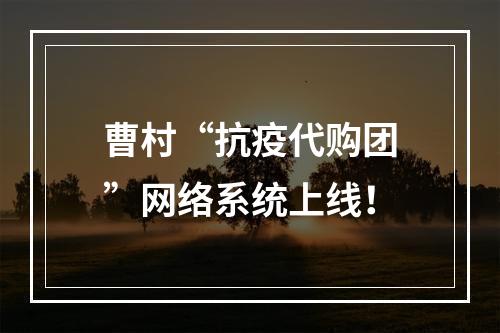 曹村“抗疫代购团”网络系统上线！