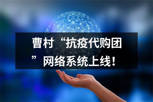 曹村“抗疫代购团”网络系统上线！