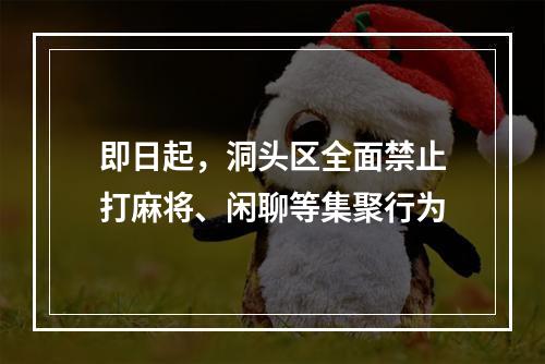 即日起，洞头区全面禁止打麻将、闲聊等集聚行为
