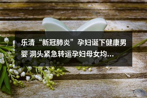 乐清“新冠肺炎”孕妇诞下健康男婴 洞头紧急转运孕妇母女均安