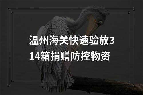 温州海关快速验放314箱捐赠防控物资