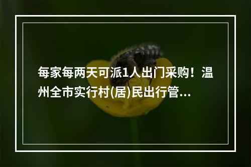 每家每两天可派1人出门采购！温州全市实行村(居)民出行管控