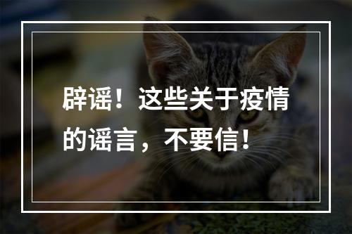 辟谣！这些关于疫情的谣言，不要信！