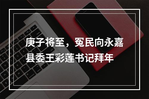 庚子将至，冤民向永嘉县委王彩莲书记拜年