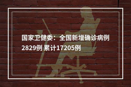 国家卫健委：全国新增确诊病例2829例 累计17205例