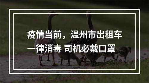 疫情当前，温州市出租车一律消毒 司机必戴口罩