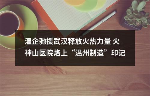 温企驰援武汉释放火热力量 火神山医院烙上“温州制造”印记