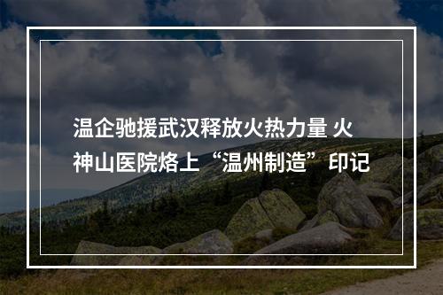 温企驰援武汉释放火热力量 火神山医院烙上“温州制造”印记