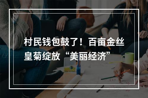 村民钱包鼓了！百亩金丝皇菊绽放“美丽经济”