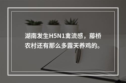 湖南发生H5N1禽流感，藤桥农村还有那么多露天养鸡的。