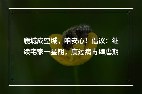 鹿城成空城，咱安心！倡议：继续宅家一星期，度过病毒肆虐期