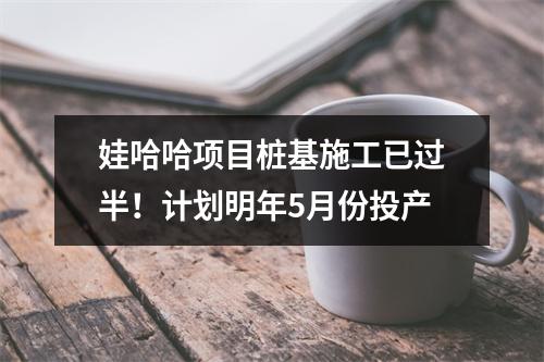 娃哈哈项目桩基施工已过半！计划明年5月份投产