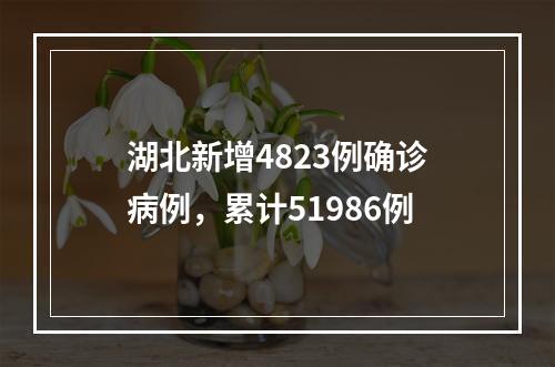 湖北新增4823例确诊病例，累计51986例