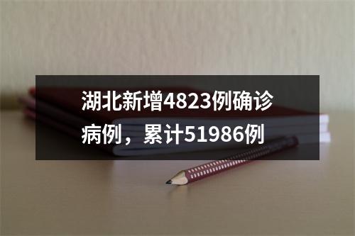 湖北新增4823例确诊病例，累计51986例