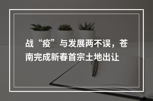 战“疫”与发展两不误，苍南完成新春首宗土地出让