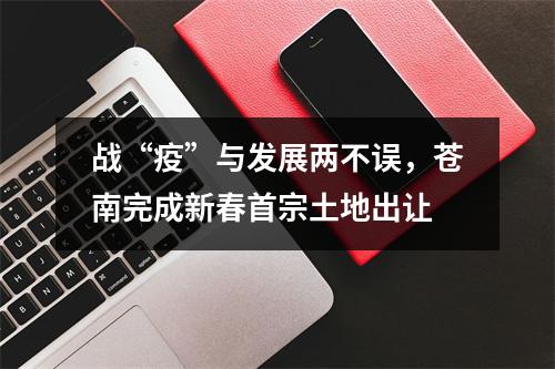 战“疫”与发展两不误，苍南完成新春首宗土地出让