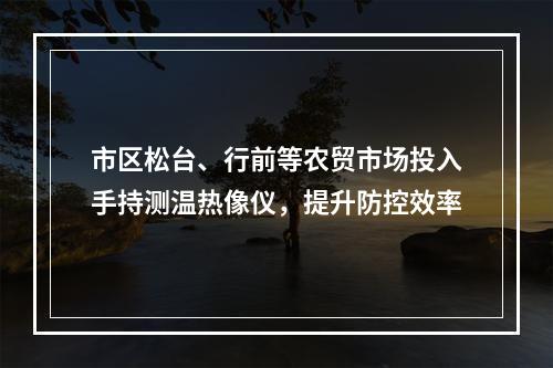 市区松台、行前等农贸市场投入手持测温热像仪，提升防控效率