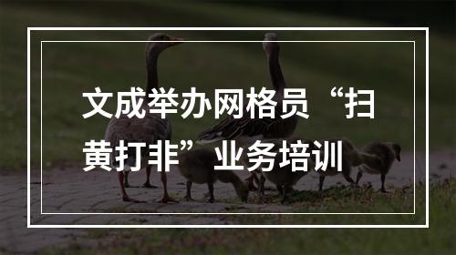文成举办网格员“扫黄打非”业务培训