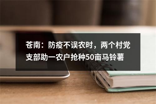苍南：防疫不误农时，两个村党支部助一农户抢种50亩马铃薯