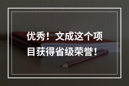 优秀！文成这个项目获得省级荣誉！