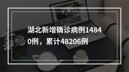 湖北新增确诊病例14840例，累计48206例