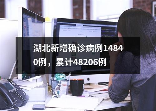 湖北新增确诊病例14840例，累计48206例