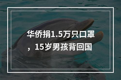 华侨捐1.5万只口罩，15岁男孩背回国