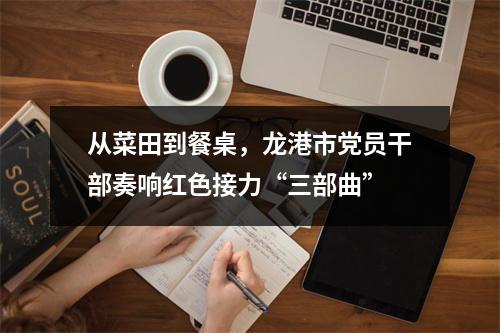 从菜田到餐桌，龙港市党员干部奏响红色接力“三部曲”