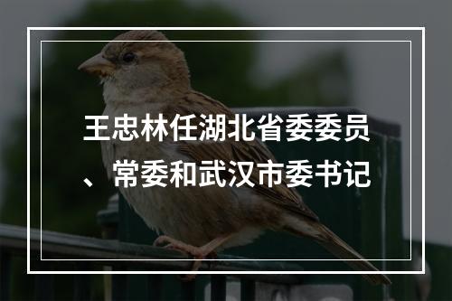 王忠林任湖北省委委员、常委和武汉市委书记