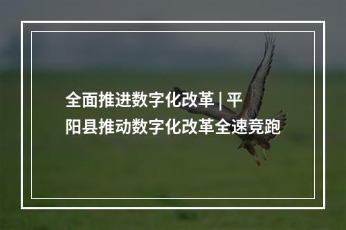 全面推进数字化改革 | 平阳县推动数字化改革全速竞跑
