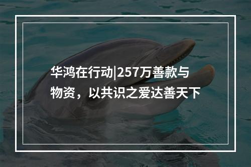 华鸿在行动|257万善款与物资，以共识之爱达善天下