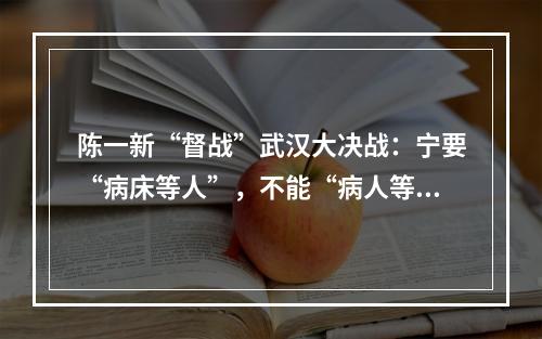 陈一新“督战”武汉大决战：宁要“病床等人”，不能“病人等床”