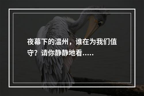 夜幕下的温州，谁在为我们值守？请你静静地看.....