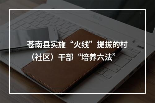 苍南县实施“火线”提拔的村（社区）干部“培养六法”