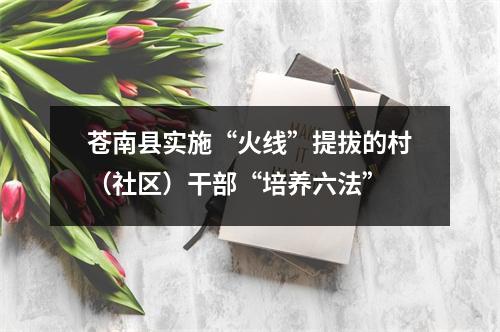 苍南县实施“火线”提拔的村（社区）干部“培养六法”