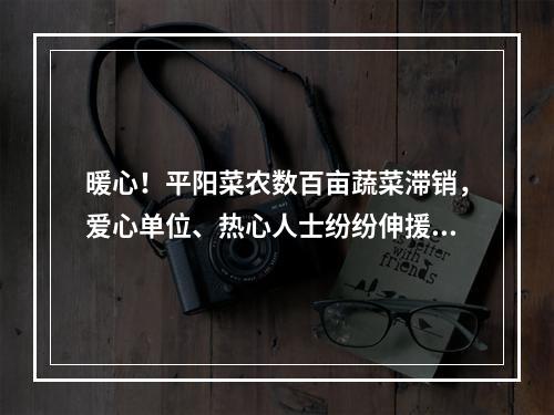 暖心！平阳菜农数百亩蔬菜滞销，爱心单位、热心人士纷纷伸援手