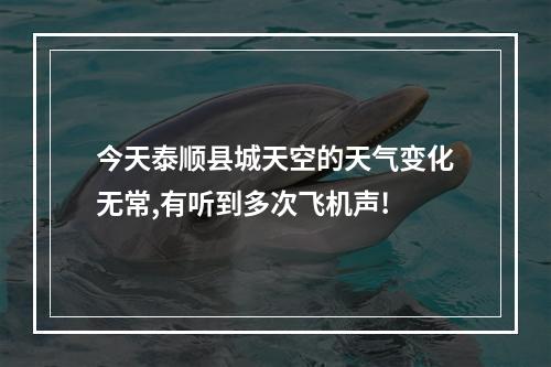 今天泰顺县城天空的天气变化无常,有听到多次飞机声!