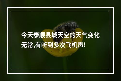 今天泰顺县城天空的天气变化无常,有听到多次飞机声!