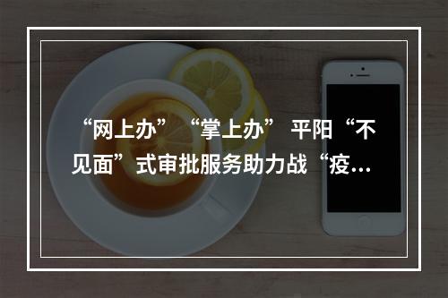 “网上办”“掌上办” 平阳“不见面”式审批服务助力战“疫”