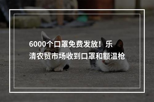 6000个口罩免费发放！乐清农贸市场收到口罩和额温枪