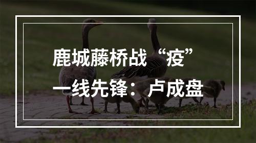 鹿城藤桥战“疫”一线先锋：卢成盘