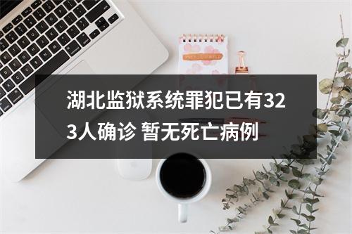 湖北监狱系统罪犯已有323人确诊 暂无死亡病例