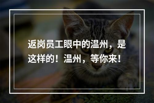 返岗员工眼中的温州，是这样的！温州，等你来！