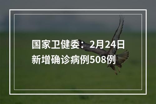 国家卫健委：2月24日新增确诊病例508例