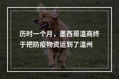 历时一个月，墨西哥温商终于把防疫物资运到了温州